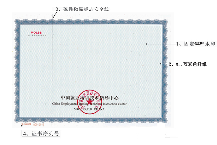 中国就业培训技术指导中心