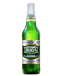 西夏啤酒 西夏啤酒