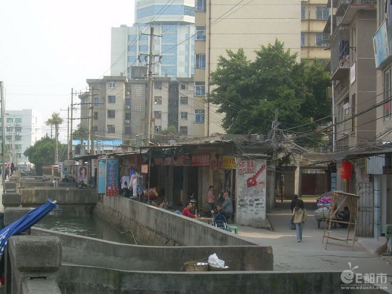 后营村(河南周口市扶沟县白潭镇下辖村)
