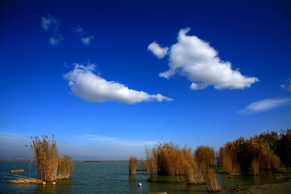 当年西夏境内的沙湖 当年西夏境内的沙湖