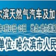 2013年哈尔滨天然气加气站展会