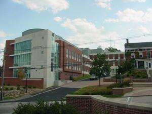 大学 大学