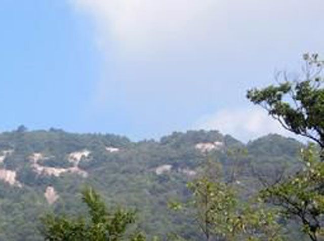 湖北吴家山国家森林公园