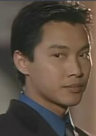 纵横四海(1999年王晶指导的电视剧)