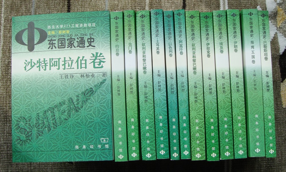 中东国家通史