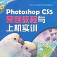 Photoshop CS5案例教程与上机实训