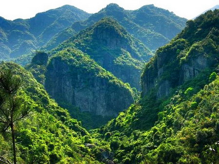 兔耳山风景区 兔耳山风景区