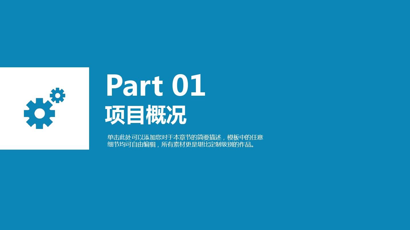 项目公司