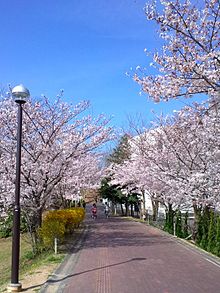 大阪府立大学 大阪府立大学