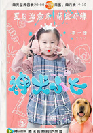 神犬小七(2015年王小列执导的电视剧)