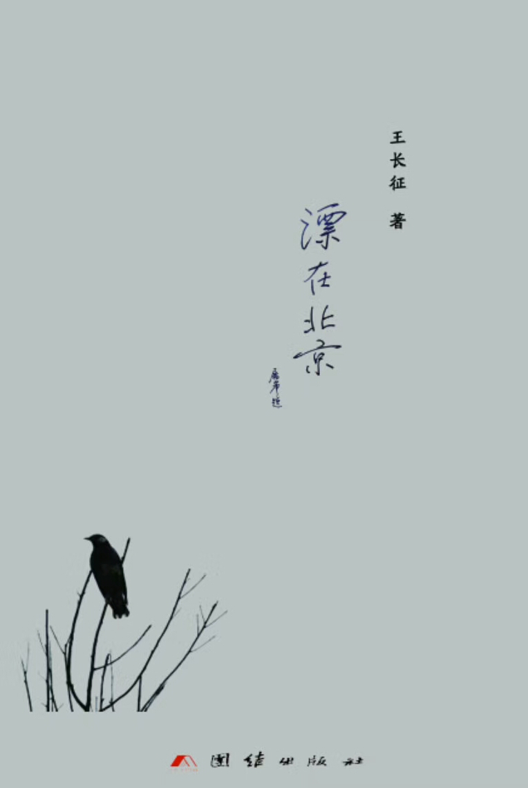 漂在北京(团结出版社出版的王长征诗集)
