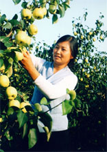 王家沖村 王家沖村