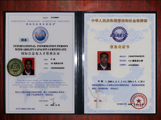 国际信息化人才资格认证