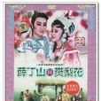 薛丁山与樊梨花(1988版杨丽花电视歌仔戏)