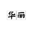 华丽(汉语词语)