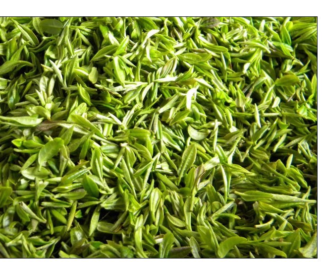 毛尖(着名茶叶品种) 毛尖(着名茶叶品种)