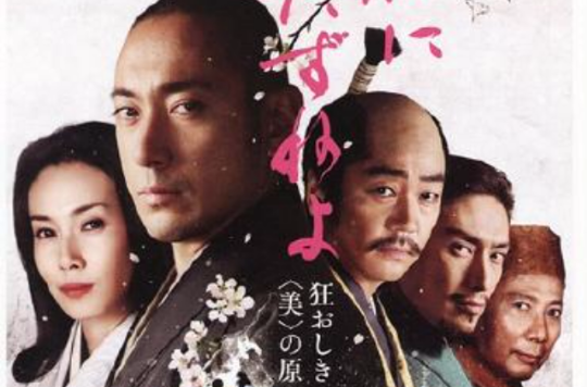寻访千利休