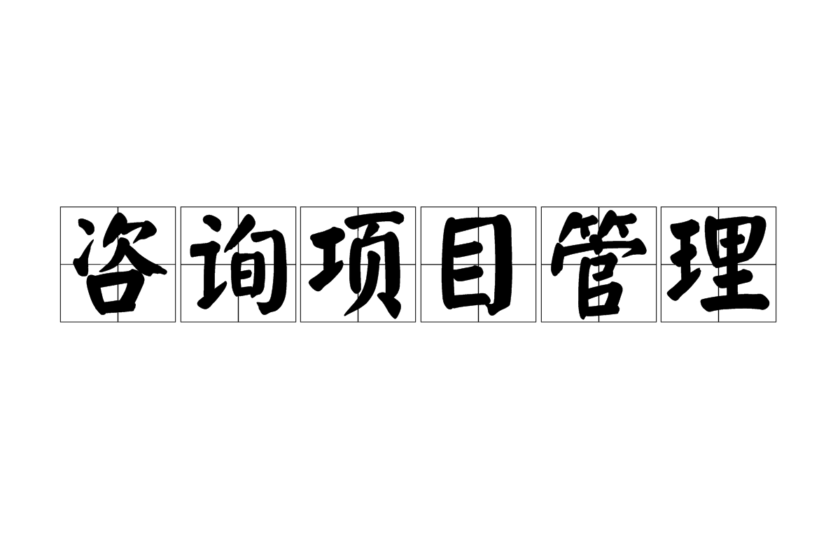 谘询项目管理