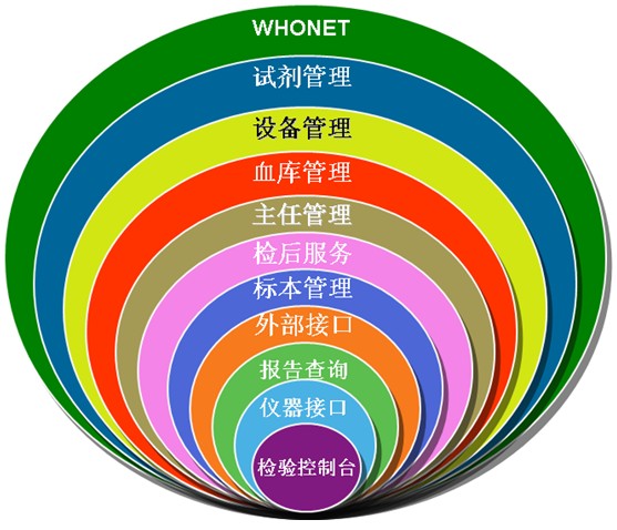 体检软体