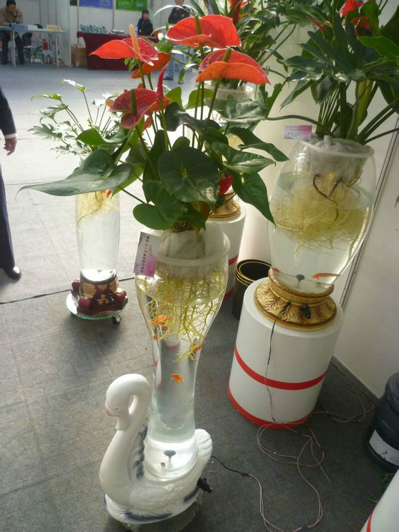 凯奇盆艺水培花瓶 凯奇盆艺水培花瓶