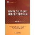 能源电力建设项目网路组合管理体系/项目管理前沿系列