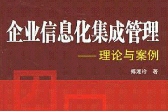 企业信息化集成管理