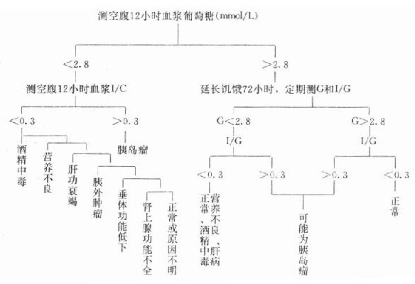 空腹型低血糖症的诊断程式 空腹型低血糖症的诊断程式