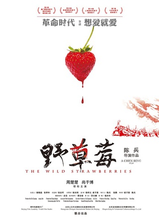 周楚濋(周楚楚)