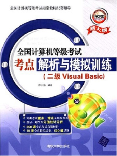 Visual Basic（二级）考试考点解析与模拟训练
