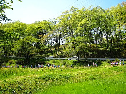 羊山公园(南京市栖霞区仙林大学城公园名称)