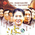 婆婆(2006年徐秀琳、吕中主演电视剧)
