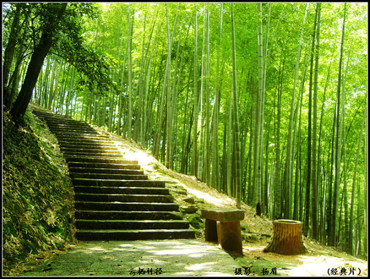 梅兰竹菊(文化象徵) 梅兰竹菊(文化象徵)
