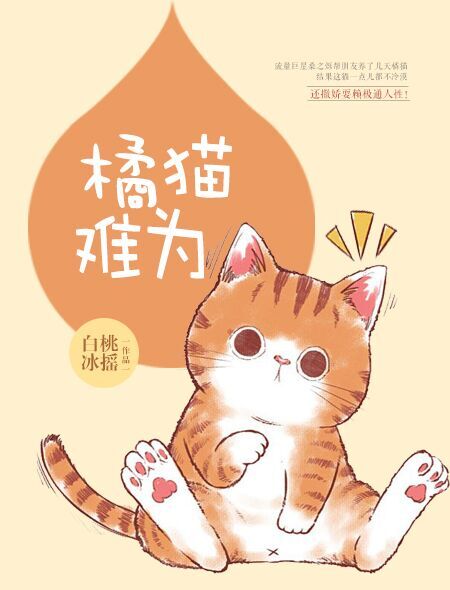 橘猫难为