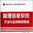 高职高专公共基础课规划教材：管理信息系统