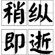 稍纵即逝(汉语成语)