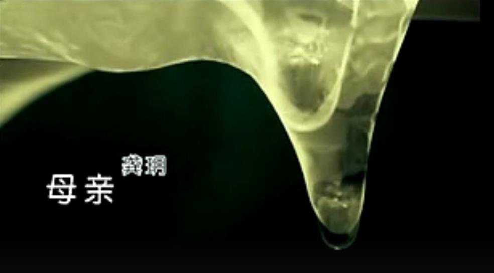 母亲(龚玥演唱歌曲)