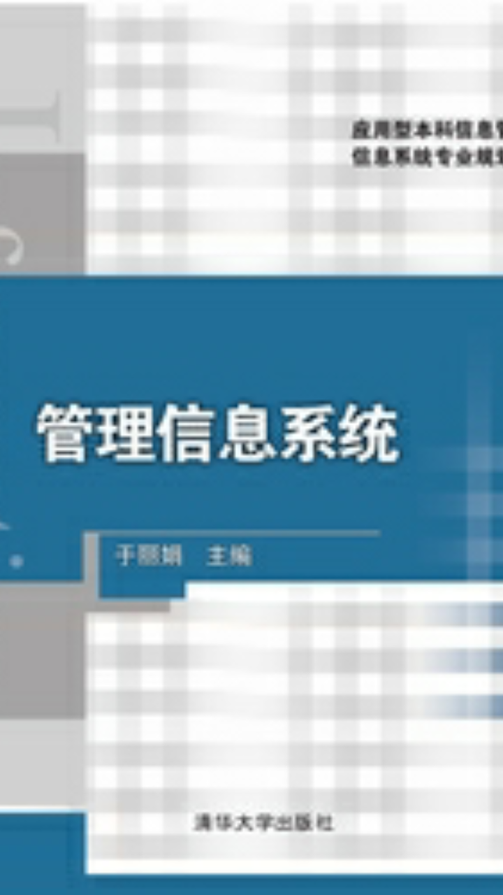 管理信息系统(于丽娟编着图书)