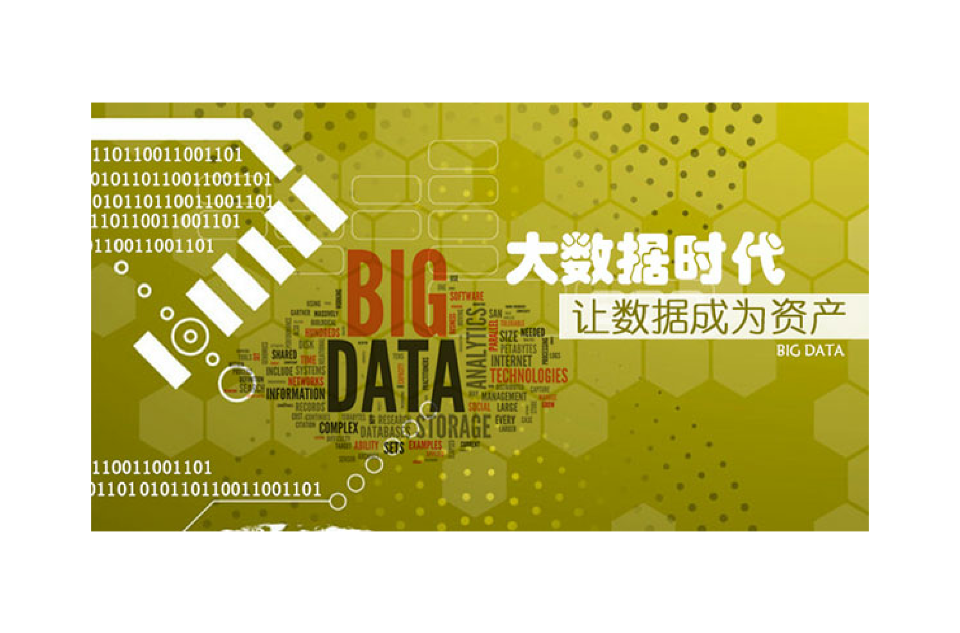 大数据时代(巨量资料（IT行业术语）)