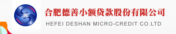 合肥德善小额贷款股份有限公司 合肥德善小额贷款股份有限公司