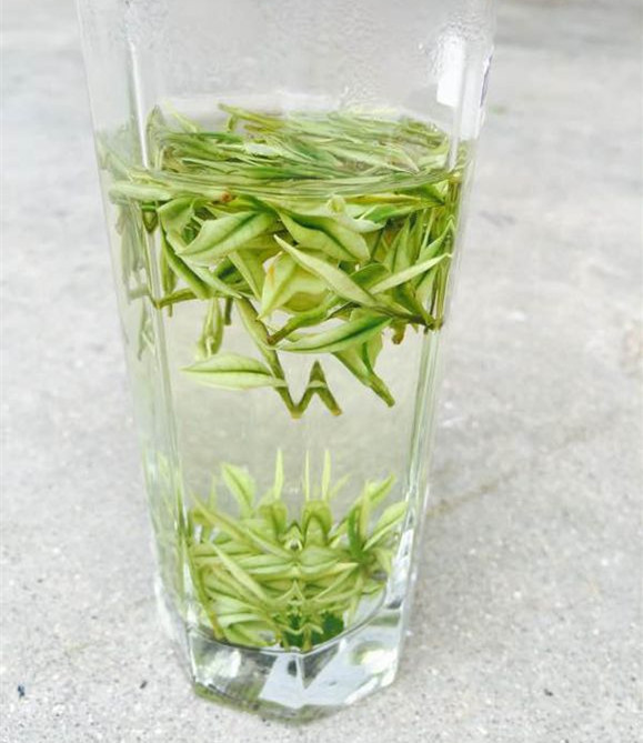 安吉白茶 安吉白茶