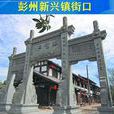 新兴镇(山东省临沂市兰陵县新兴镇)