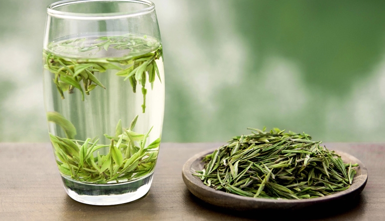 安吉白茶 安吉白茶
