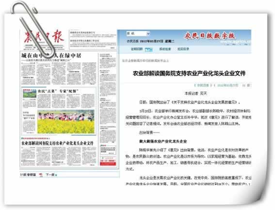 国务院关于支持农业产业化龙头企业发展的意见