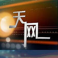 天网(中央电视台“社会与法”频道节目)