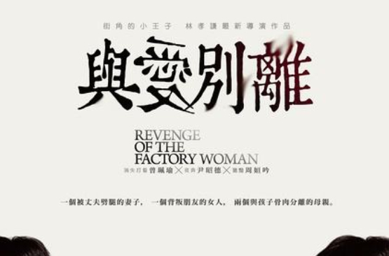 与爱别离(林孝谦执导的电影)