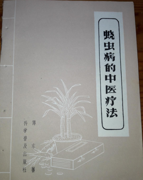 蛲虫病的中医疗法