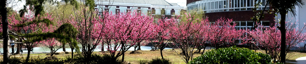 上海立达学院 上海立达学院