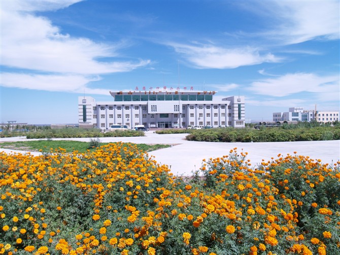新疆生产建设兵团农十四师二二四团 新疆生产建设兵团农十四师二二四团