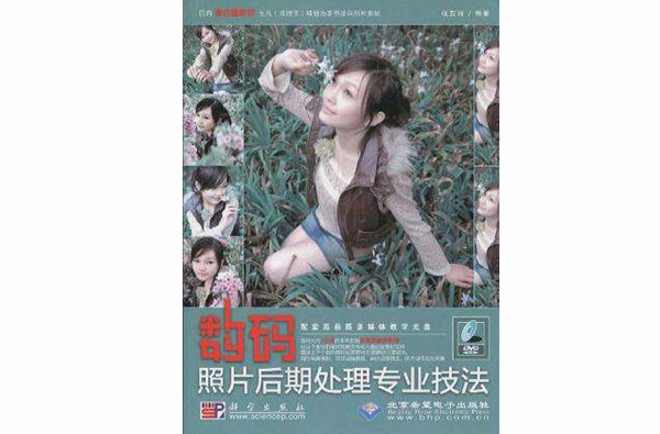 数码照片后期处理专业技法