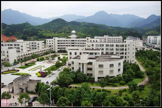 庆元中学 庆元中学